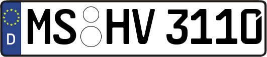MS-HV3110