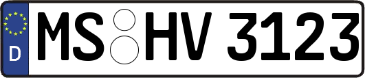 MS-HV3123