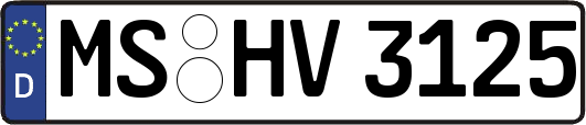 MS-HV3125