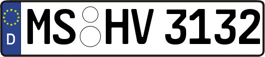 MS-HV3132