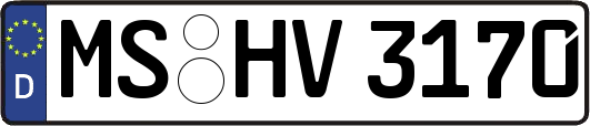 MS-HV3170