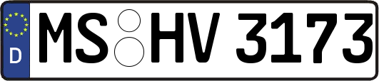 MS-HV3173