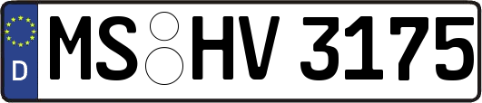 MS-HV3175