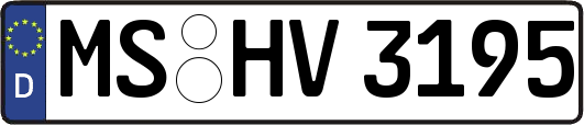 MS-HV3195