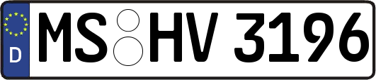 MS-HV3196