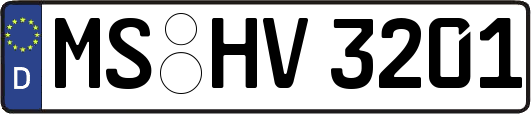 MS-HV3201
