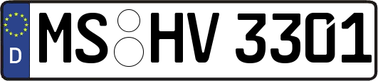 MS-HV3301