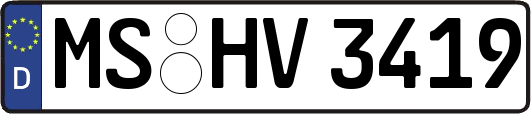MS-HV3419