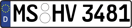 MS-HV3481