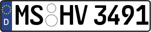 MS-HV3491