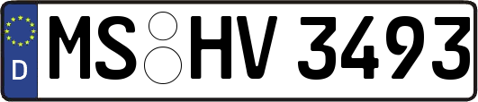 MS-HV3493