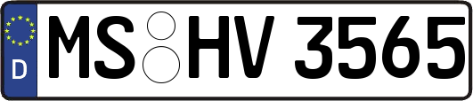 MS-HV3565