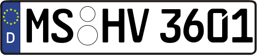 MS-HV3601