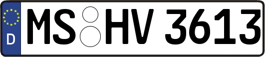 MS-HV3613