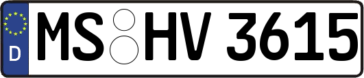 MS-HV3615