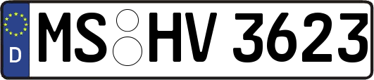 MS-HV3623