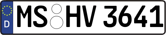 MS-HV3641