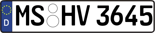 MS-HV3645