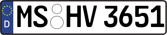 MS-HV3651