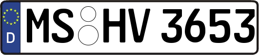 MS-HV3653