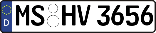MS-HV3656