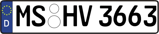 MS-HV3663