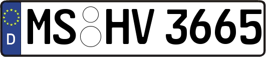 MS-HV3665
