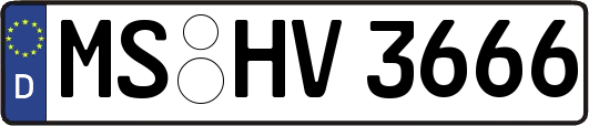MS-HV3666