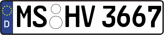 MS-HV3667