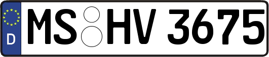 MS-HV3675