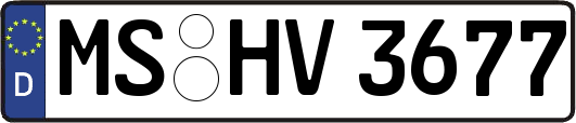 MS-HV3677