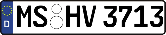MS-HV3713