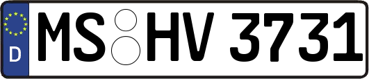 MS-HV3731
