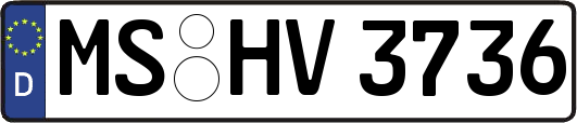 MS-HV3736