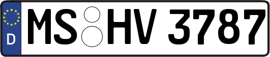MS-HV3787