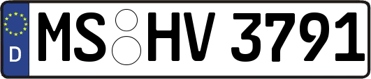 MS-HV3791