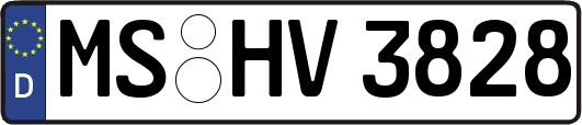 MS-HV3828