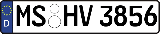 MS-HV3856