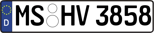 MS-HV3858