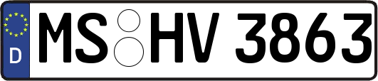 MS-HV3863