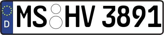 MS-HV3891