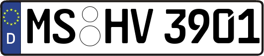 MS-HV3901
