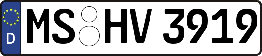 MS-HV3919