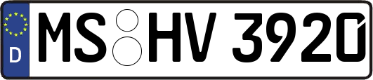 MS-HV3920