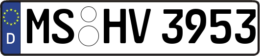 MS-HV3953