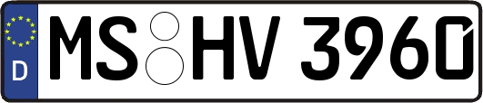 MS-HV3960