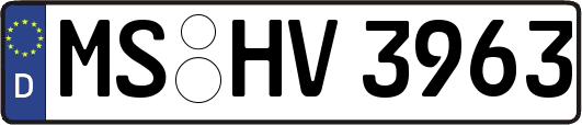 MS-HV3963