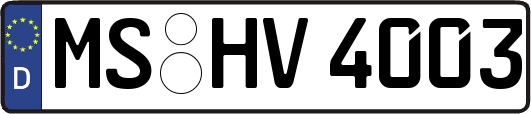 MS-HV4003