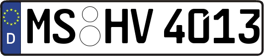 MS-HV4013