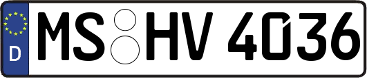 MS-HV4036